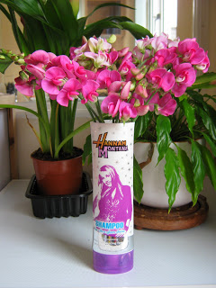 Reusing Shampoo Bottles | ecogreenlove