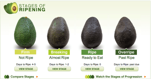 Screen Shot 2013-08-26 at 12.07.01