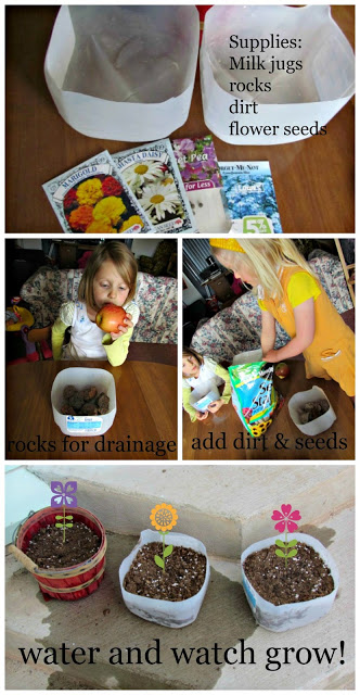 Reusing big plastic water/milk bottles/jugs | ecogreenlove