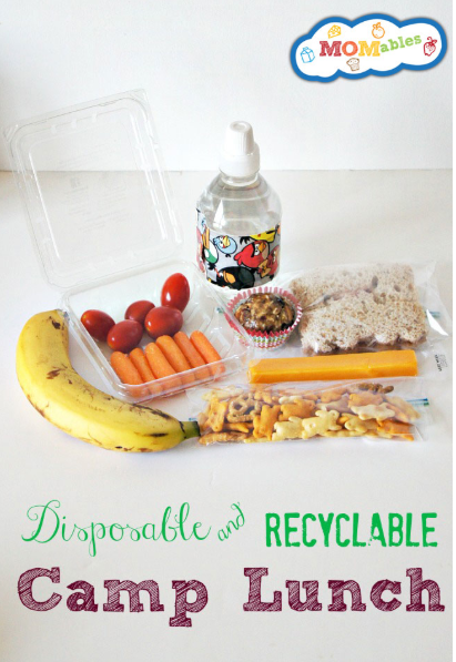 Reusing produce containers | ecogreenlove