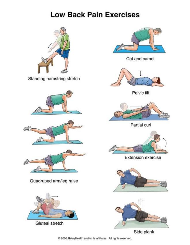 Low Back Pain Exercises | ecogreenlove