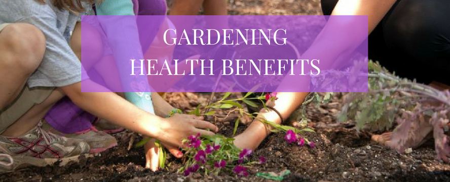 Why gardening is good for your&nbsp;health