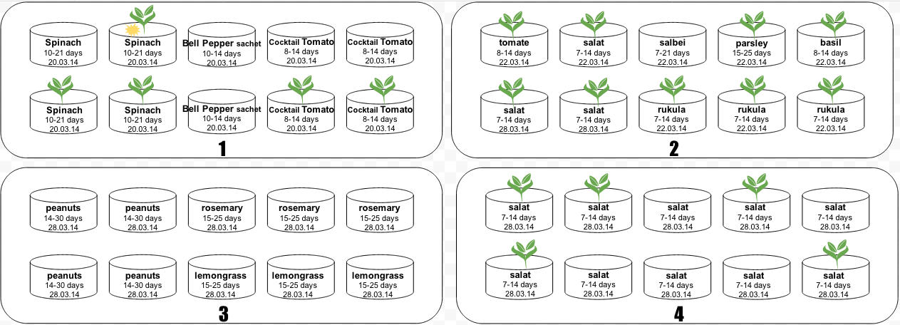 Gardening tips: How to Save & Store Seeds | ecogreenlove