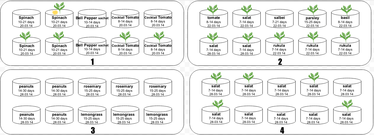Gardening tips: How to Save & Store Seeds | ecogreenlove