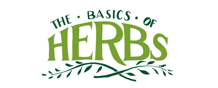 The Basics of Herbs&nbsp;[Illustration]