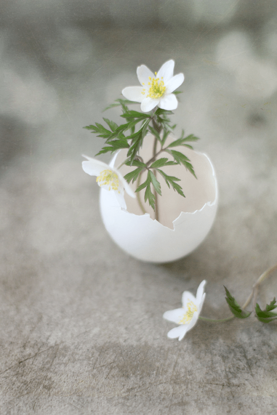 DIY: Upcycled Easter Decorations & Gifts | ecogreenlove