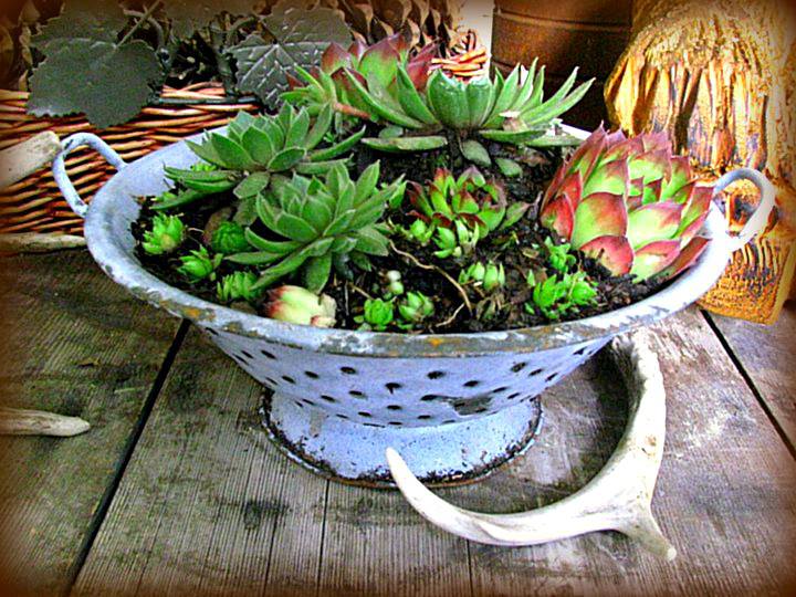 Reusing Old Kitchen Utensils | ecogreenlove