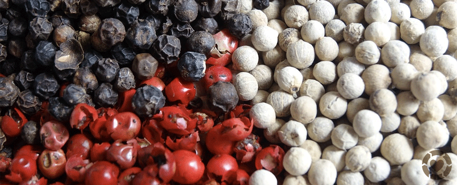All about Peppercorns: Types & Tips | ecogreenlove