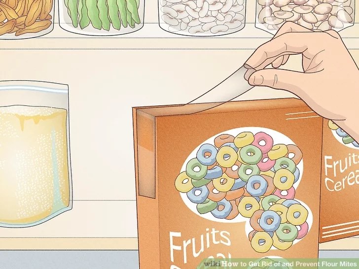 How to store Flour (and other dry foods) and prevent pests | ecogreenlove How to store Flour (and other dry foods) and prevent pests | ecogreenlove