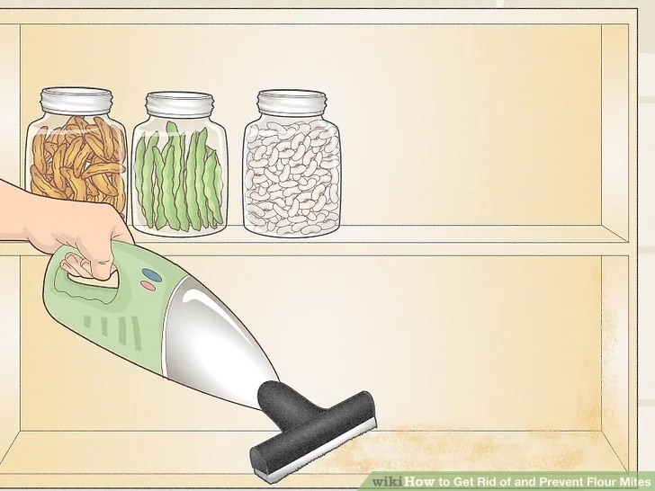 How to store Flour (and other dry foods) and prevent pests | ecogreenlove How to store Flour (and other dry foods) and prevent pests | ecogreenlove