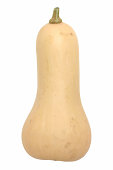 butternut squash