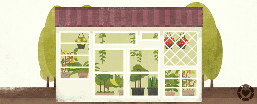 DIY Greenhouse [Infographic] | ecogreenlove