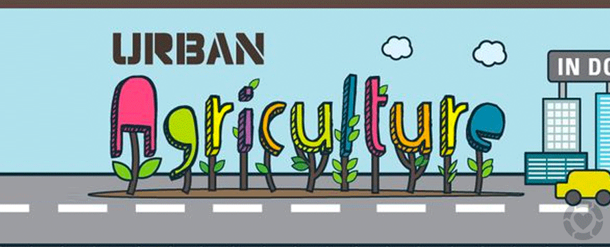 Urban Agriculture [Infographic] | ecogreenlove