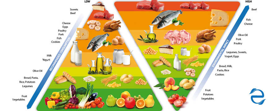 Double Food – Environmental Pyramid&nbsp;model