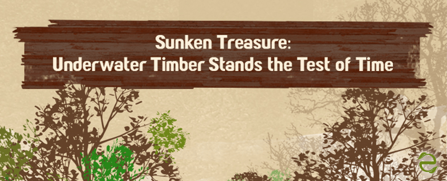 Underwater Timber [Infographic]