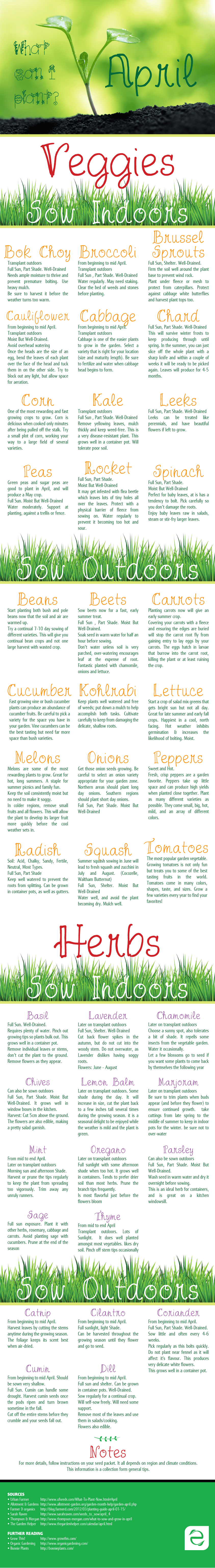 What can I plant: April [Infographic] | ecogreenlove