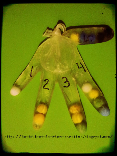 Creative ways to Repurpose Rubber Gloves | ecogreenlove Creative ways to Repurpose Rubber Gloves | ecogreenlove