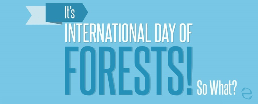 Environmental Dates: International Day of the&nbsp;Forests
