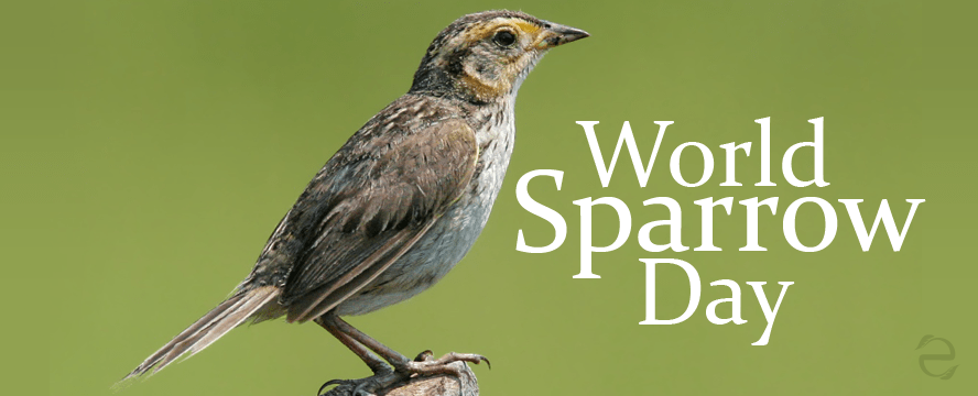 Environmental Dates: World Sparrow&nbsp;Day