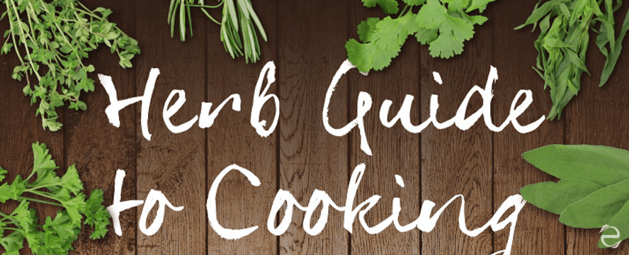 Herb Guide [Infographic] | ecogreenlove