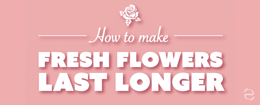 How to Make Fresh Flowers Last Longer&nbsp;[Infographic]