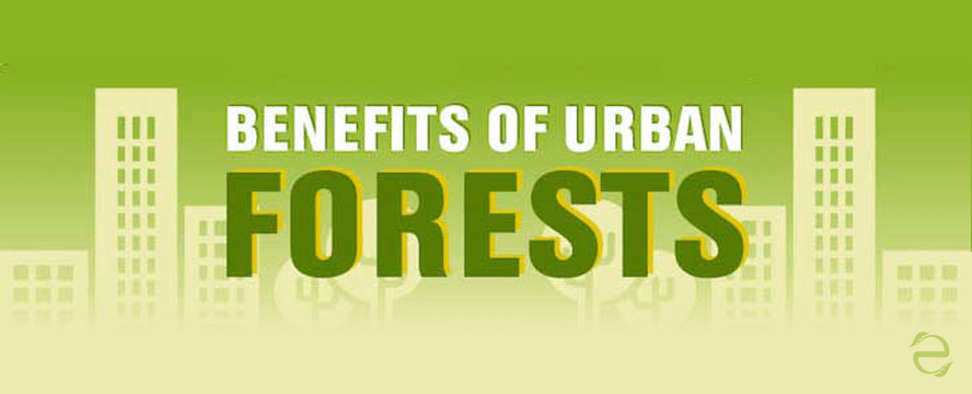 Urban Forestry Benefits&nbsp;[Infographic]