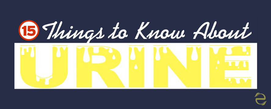 Things to know about Urine&nbsp;[Infographic]