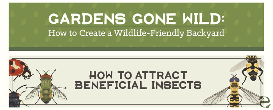 How to Create a Wildlife-Friendly Backyard [Infographic] | ecogreenlove