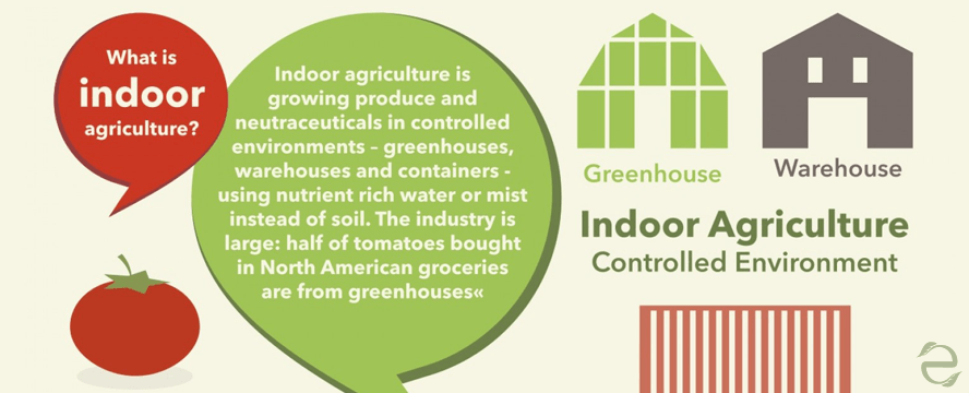 The Future of Agriculture is Indoors [Infographic] | ecogreenlove