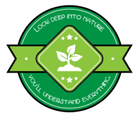 look deep into nature, you'll understand everything | ecogreenlove