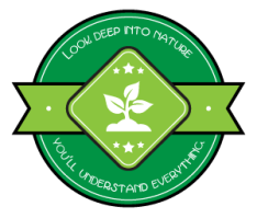 look deep into nature, you'll understand everything | ecogreenlove