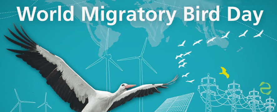 Environmental Dates: World Migratory Bird Day&nbsp;(WMBD)