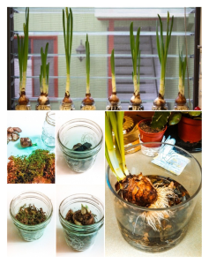 Reusing Baby Food Jars and Bottles | ecogreenlove