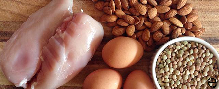 High Protein Rich Foods [Infographic] | ecogreenlove