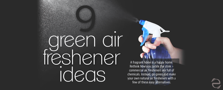 9 Green Air Freshener Ideas [Infographic] | ecogreenlove