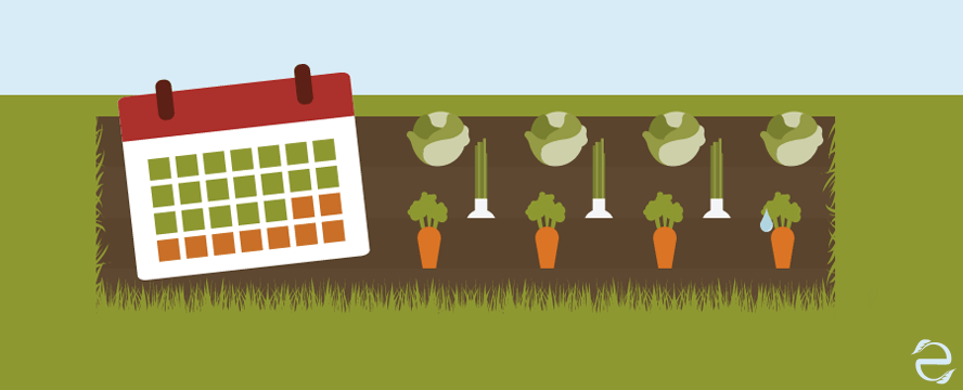 Vegetable Growing Cheatsheet&nbsp;[Interactive]