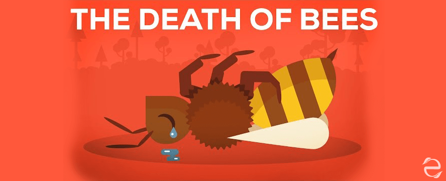 The Death of Bees Explained [Video]