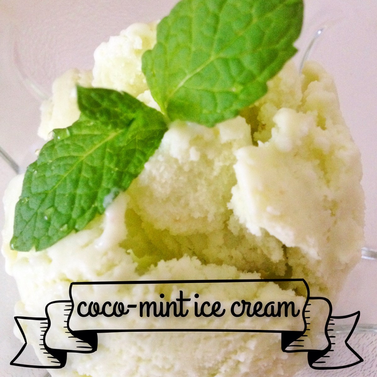Recipe: Coco-Mint ice cream | ecogreenlove