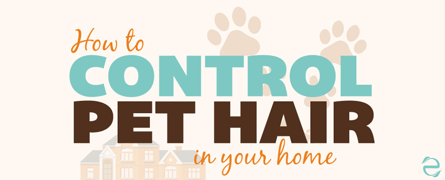 How to control Pet Hair at Home [Infographic] | ecogreenlove
