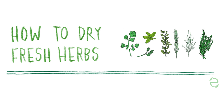 How to dry fresh herbs [Illustrations]