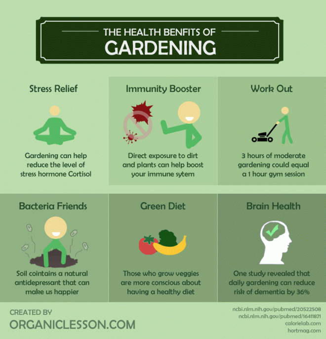 Wonderful health benefits of Gardening [Infographic] | ecogreenlove