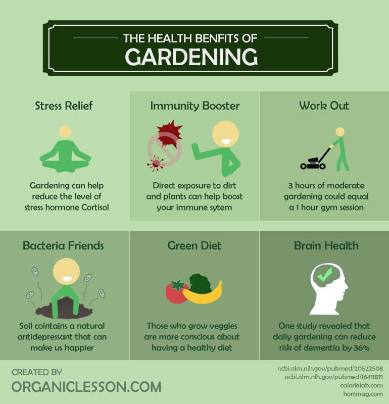 Wonderful health benefits of Gardening [Infographic] | ecogreenlove