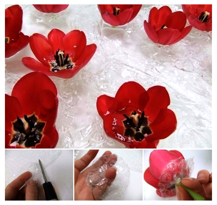 Reusing Bubble Wrap | ecogreenlove