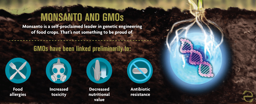 How Monsanto took control of our Food [Infographic] | ecogreenlove