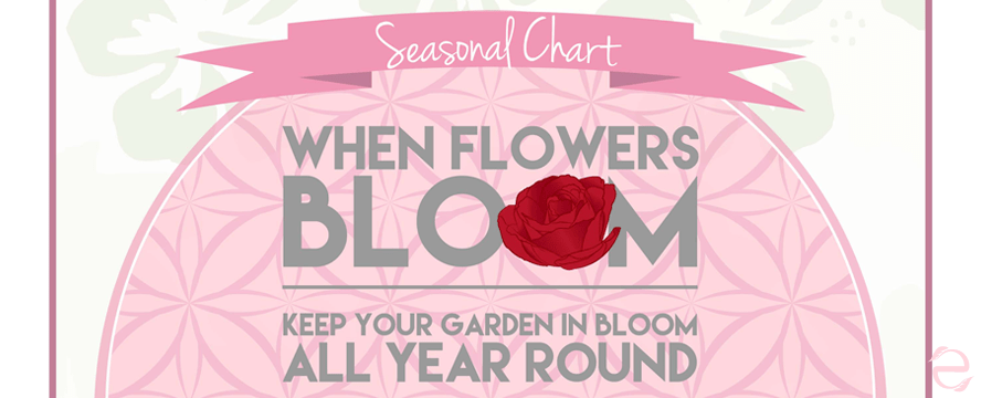 Guide for Colourful Gardens all year round [Infographic]