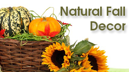 DIY Fall Decorations with&nbsp;Nature