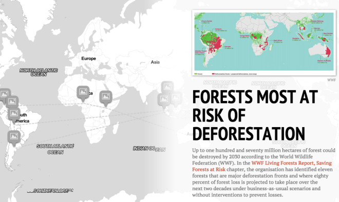 Forests most at Risk of Deforestation [Interactive StoryMap] | ecogreenlove