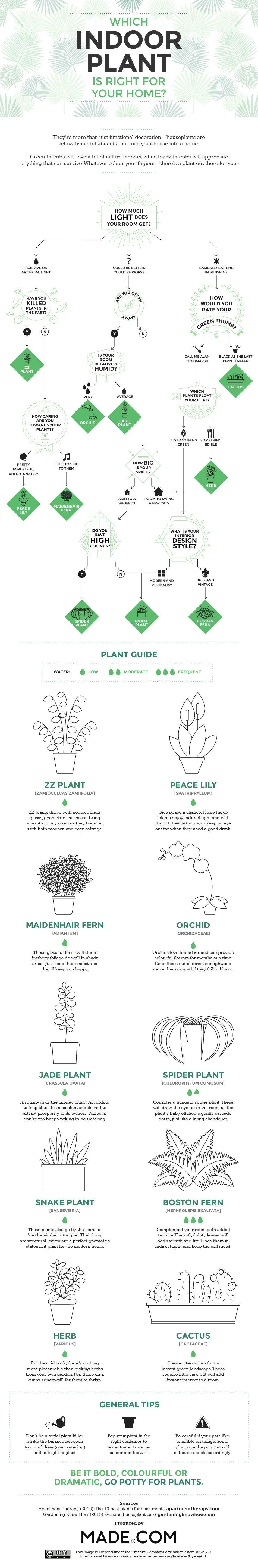 Which Indoor Plant is right for your Home? [Infographic] | ecogreenlove