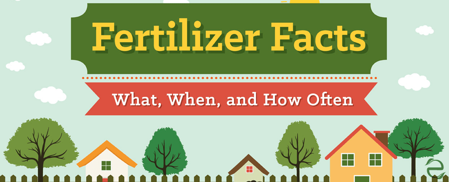 Fertilizer Facts: What, When and How Often&nbsp;[Infographic]