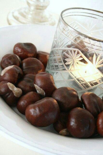 DIY: Autumn Crafts with Conkers | ecogreenlove